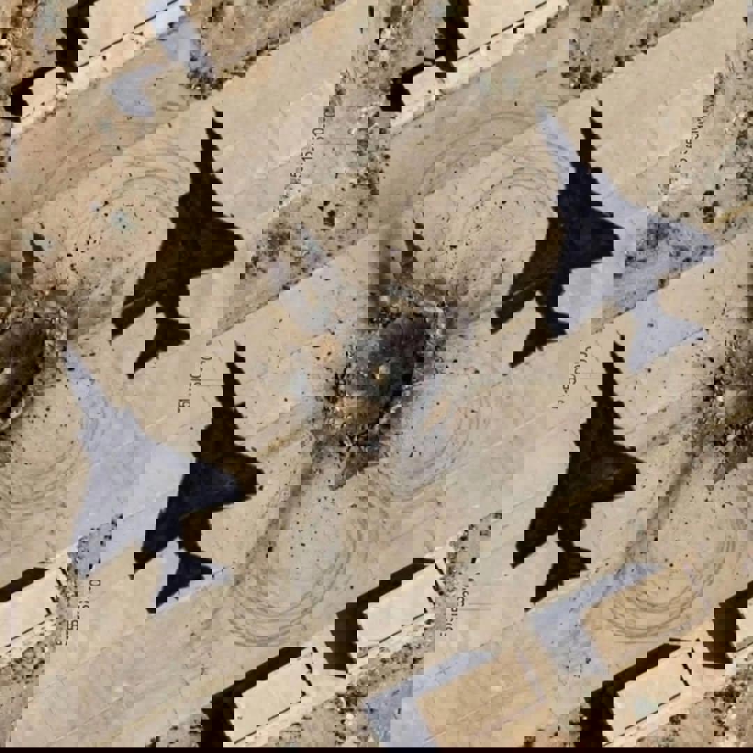 האם ישראל הפציצה צלליות מטוסים ומסוקים?