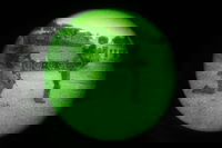 פעילות לוחמי חטיבת החשמונאים בלבנון