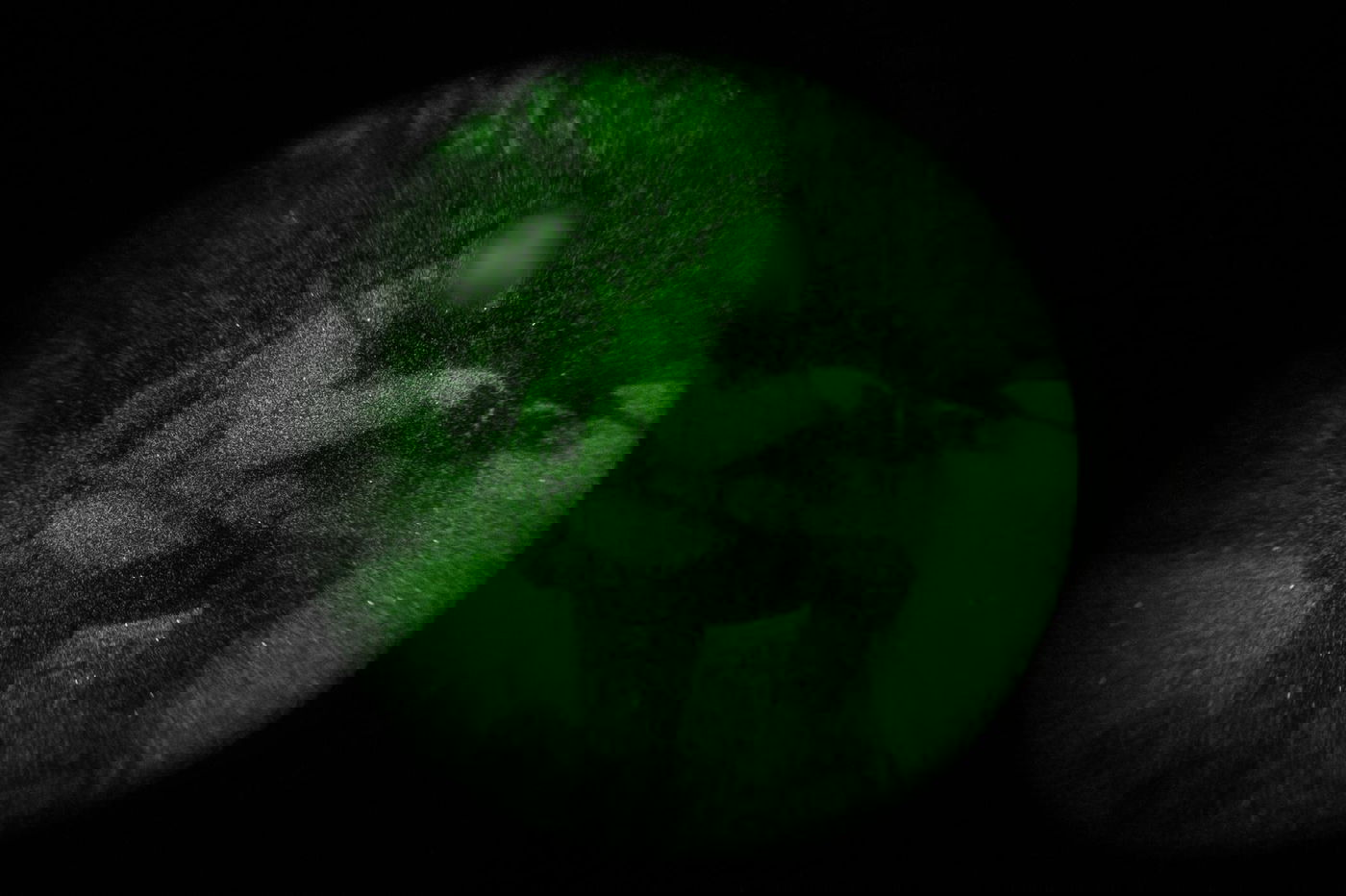 פעילות לוחמי חטיבת החשמונאים בלבנון