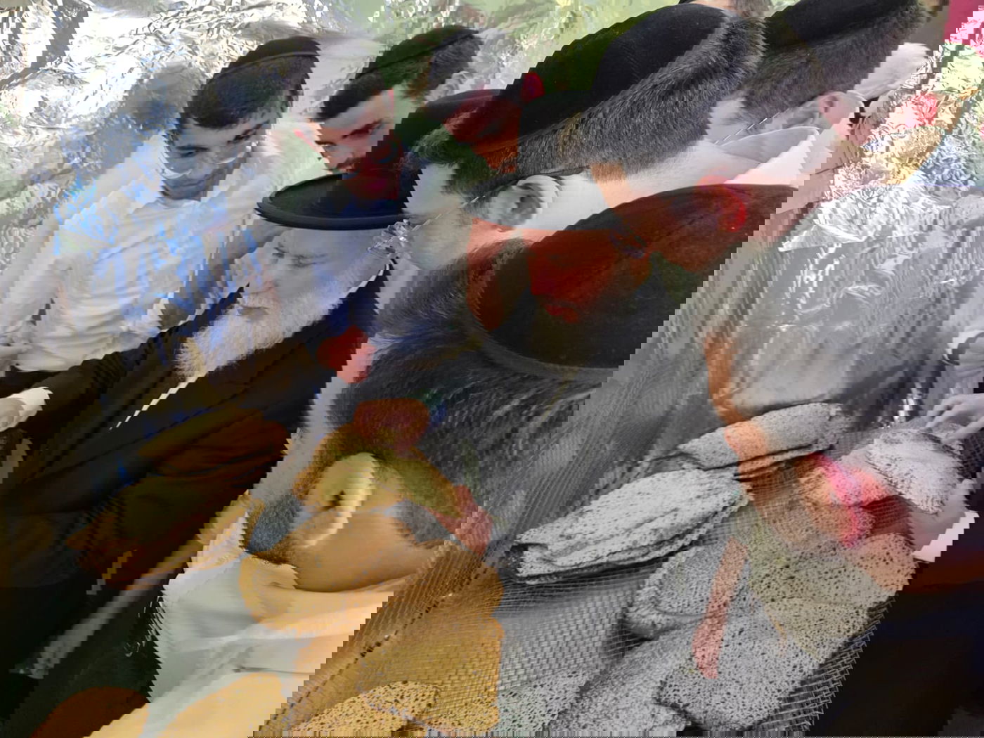 הגר"ז כהן באפיית מצות