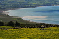 הכנרת, בחודש שעבר