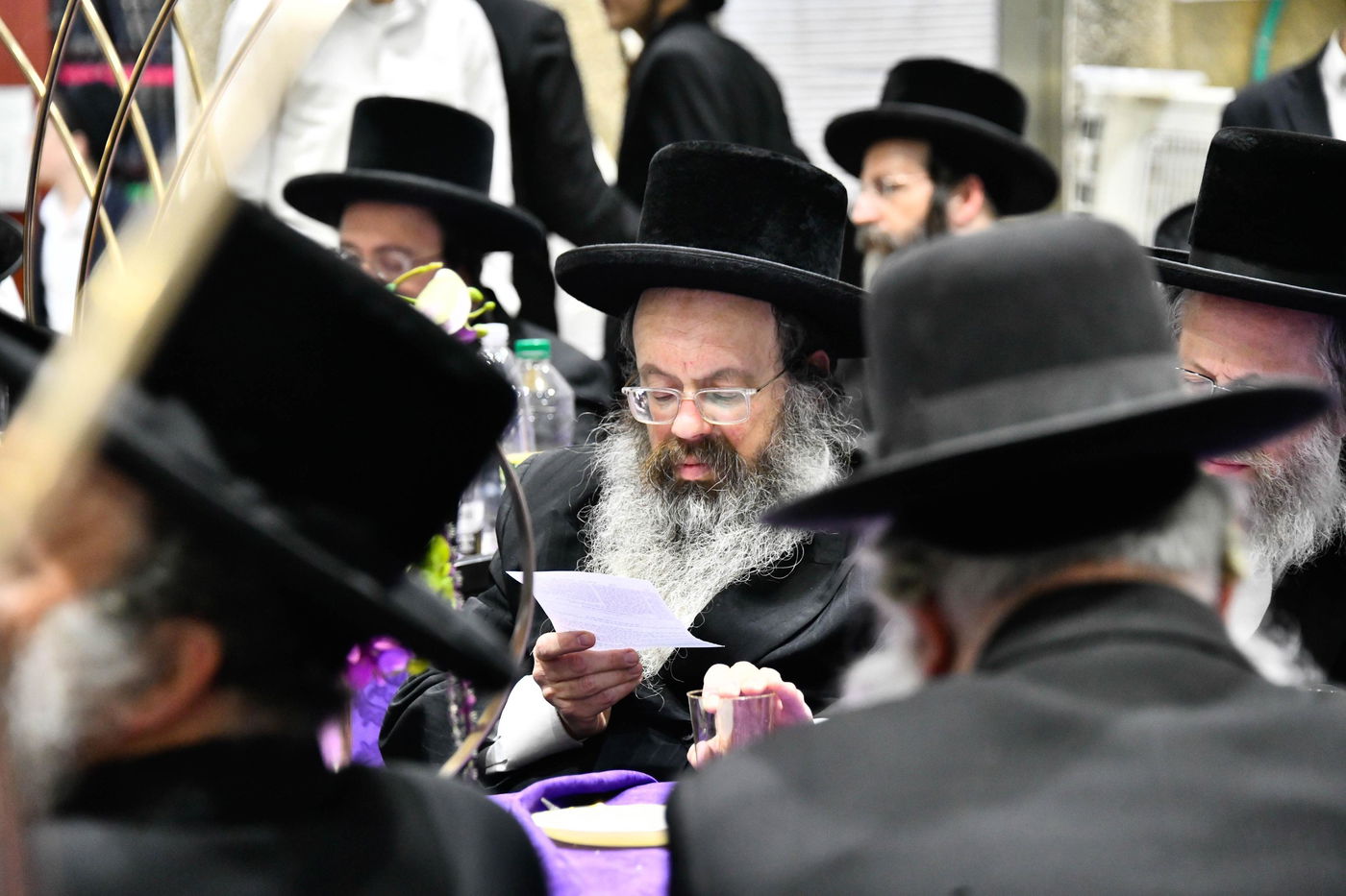 יום הצלה בחצה"ק זוטשקא