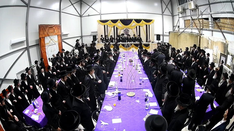 יום הצלה בחצה"ק זוטשקא 