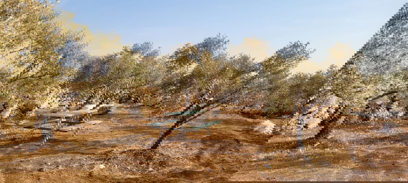 אתר ההנצחה "סולם יעקב"