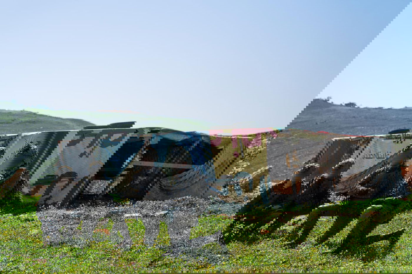 פעילות לוחמי חטיבת גבעתי בדרום לבנון