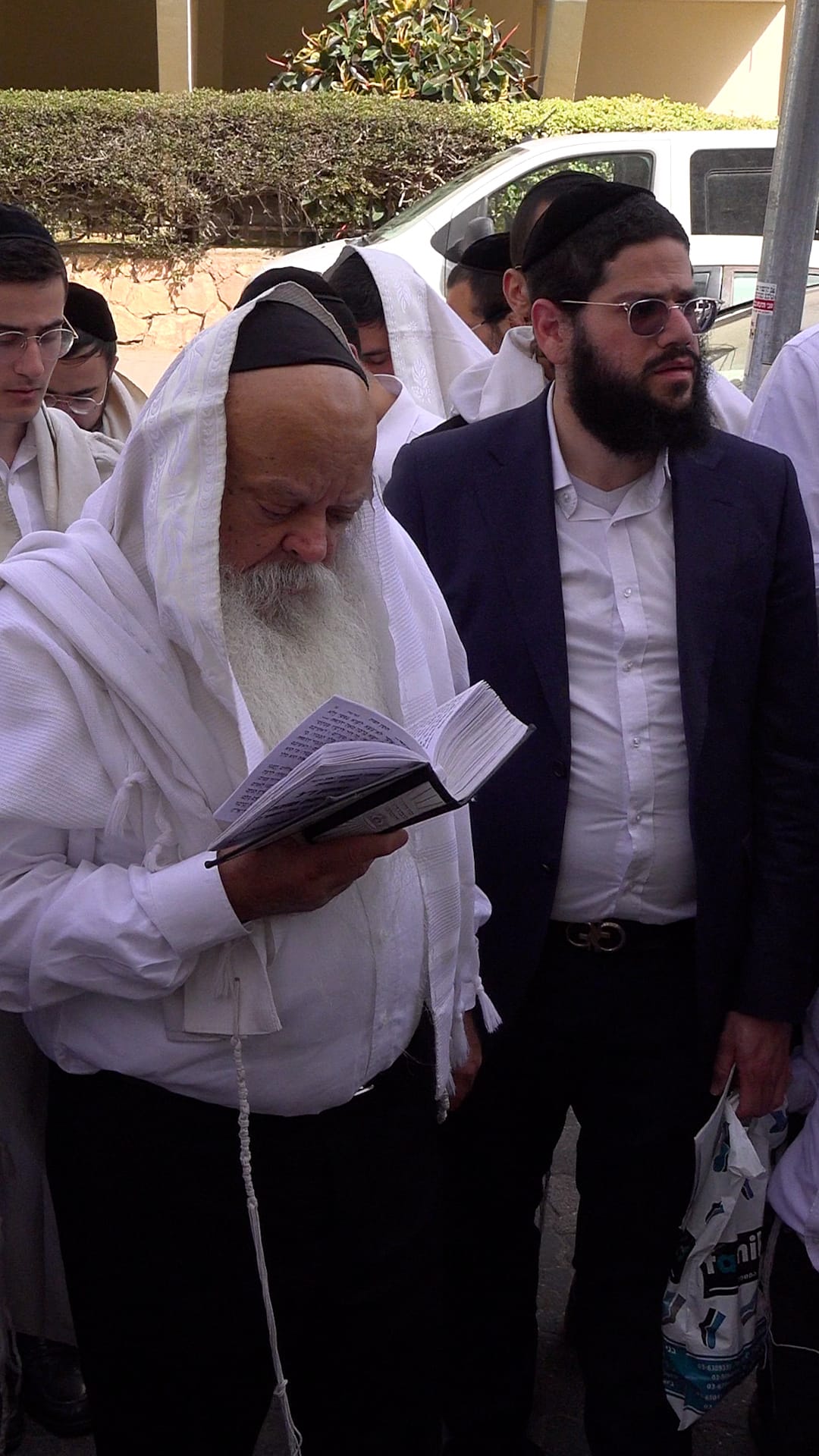 הגאון רבי דניאל זר בברכת האילנות