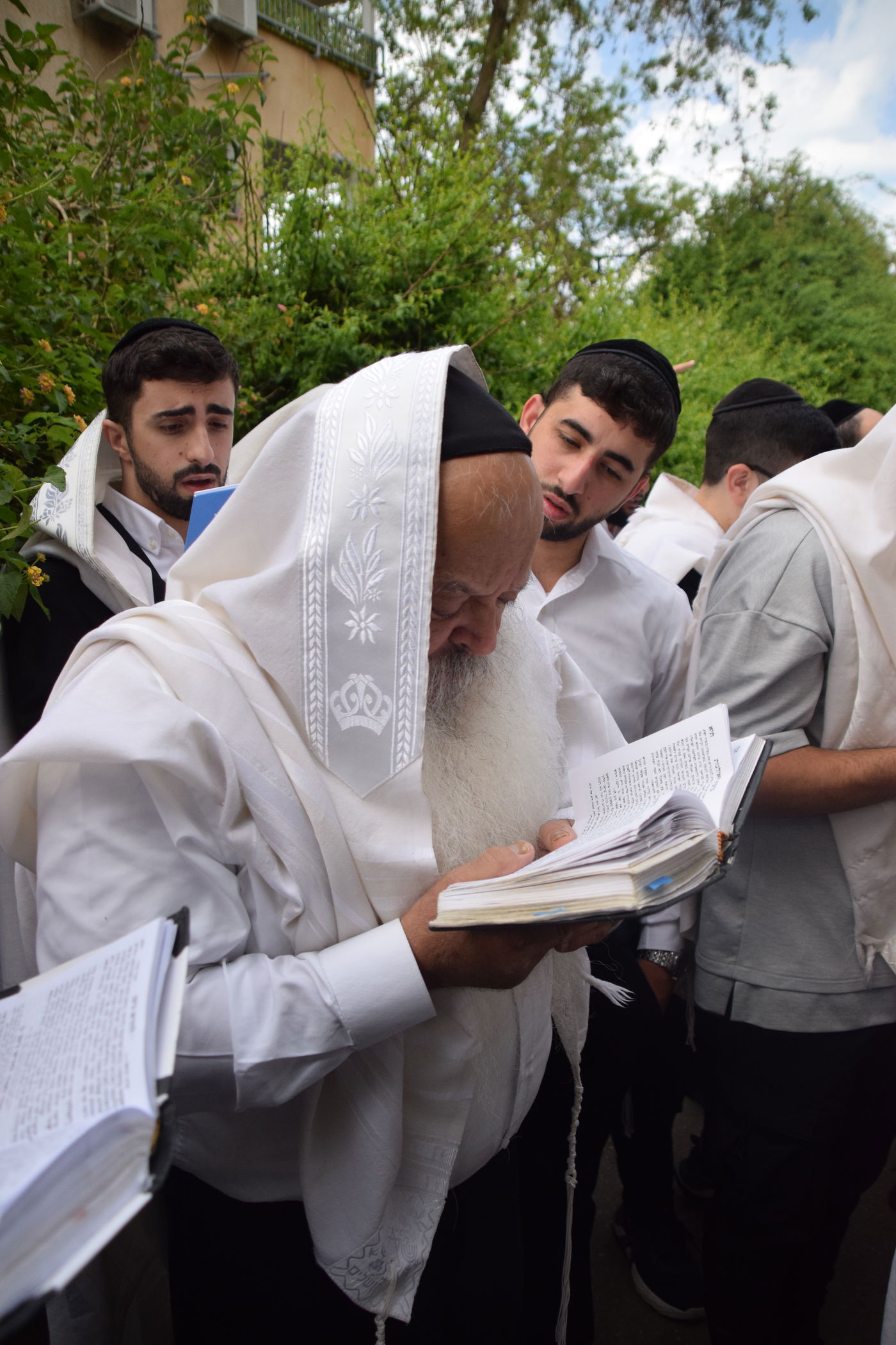 הגאון רבי דניאל זר בברכת האילנות
