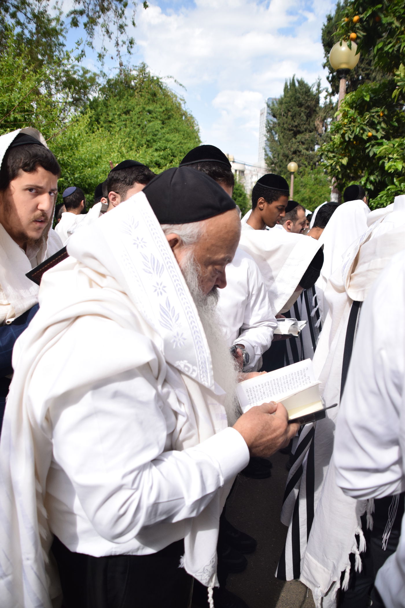 הגאון רבי דניאל זר בברכת האילנות