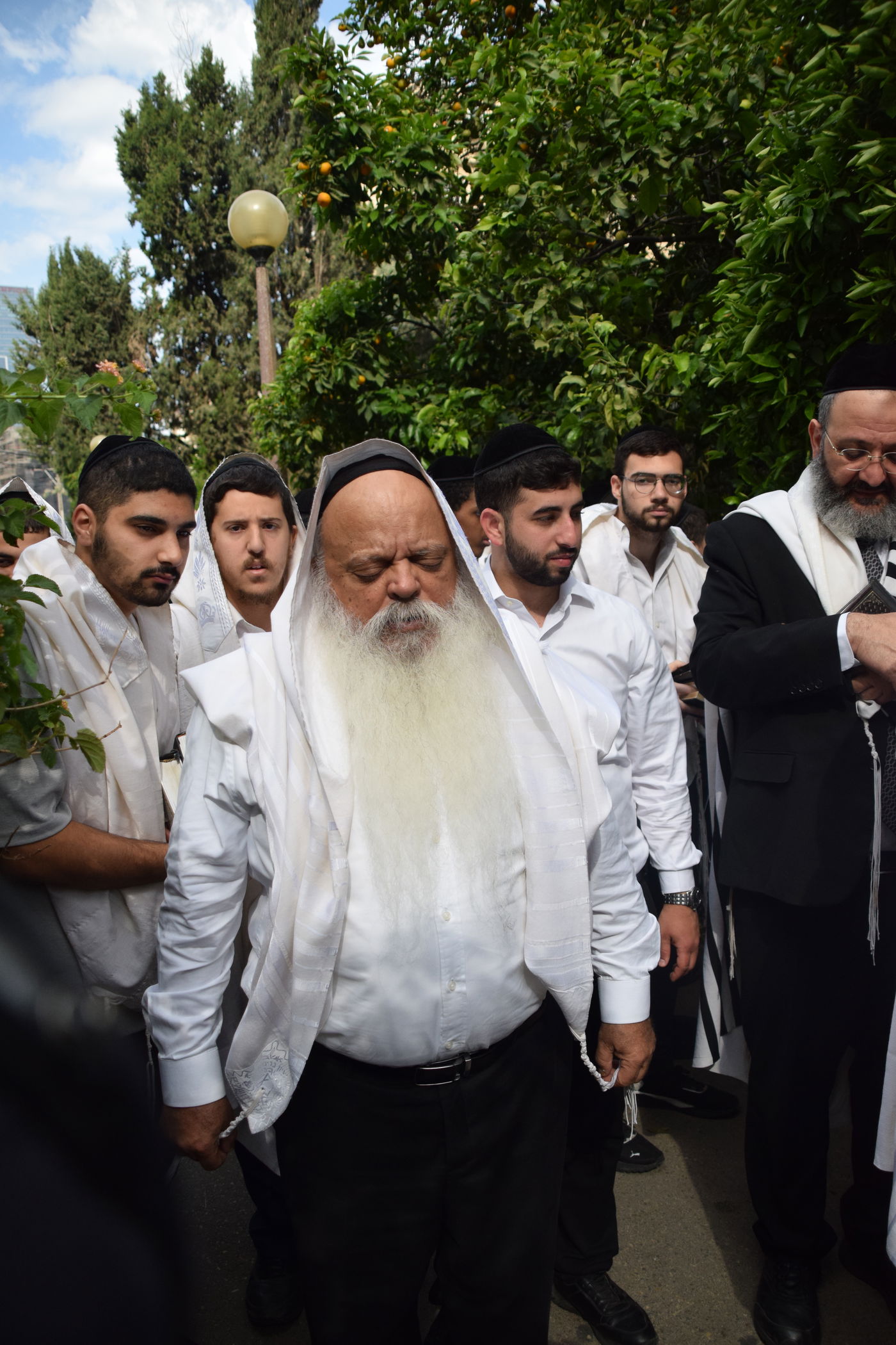 הגאון רבי דניאל זר בברכת האילנות