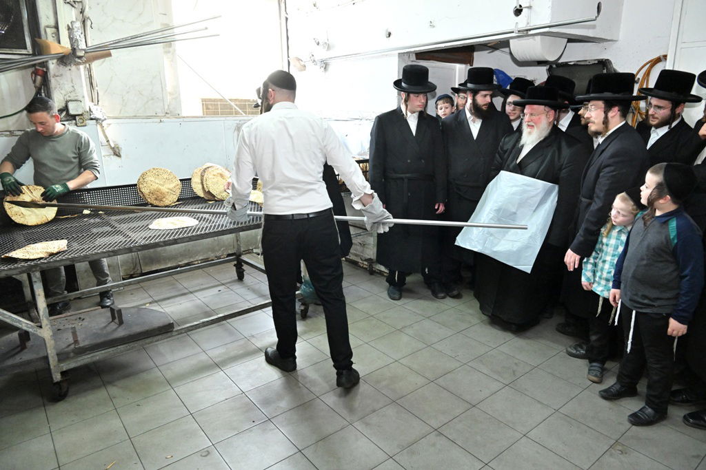 האדמו"ר מסאסוב באפיית מצות