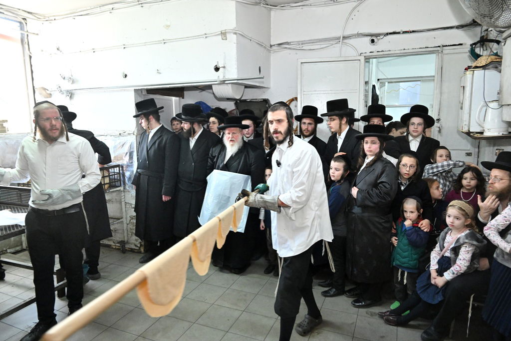 האדמו"ר מסאסוב באפיית מצות