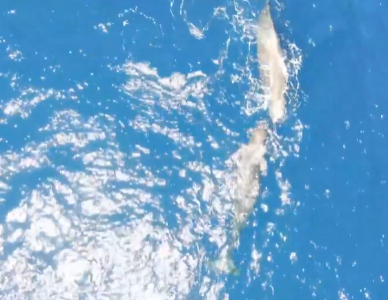 רגע התנגשות