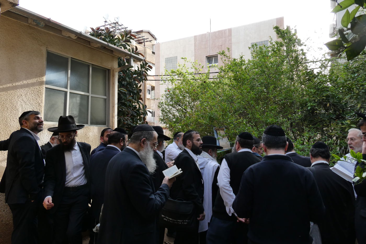 חכם ניסים בן שמעון בברכת האילנות