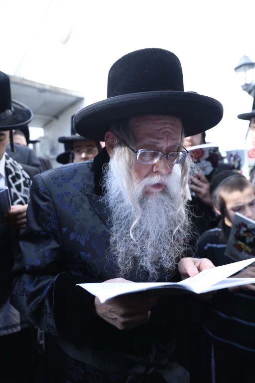 הרה"צ רבי יצחק לעזער באפיית מצות וברכת האילנות