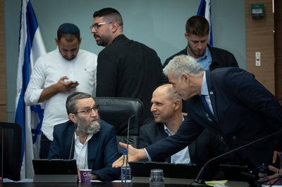 גפני ולפיד | ארכיון