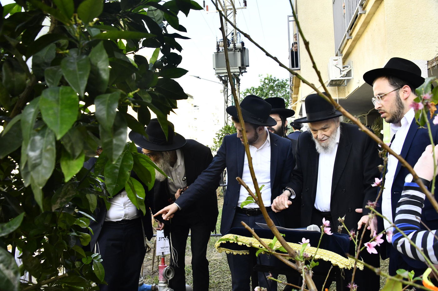 הגרמ"ה הירש בברכת האילנות