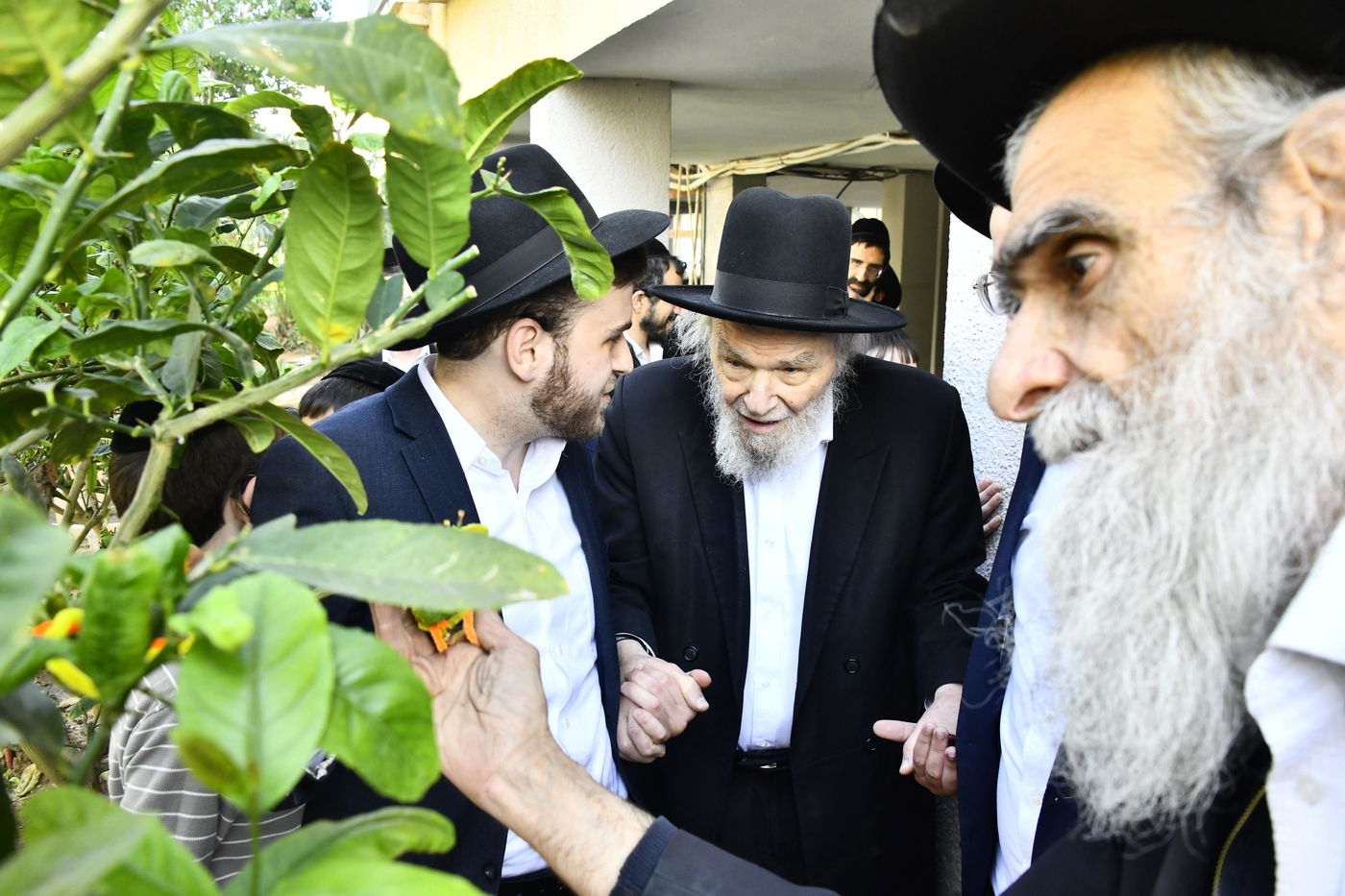 הגרמ"ה הירש בברכת האילנות