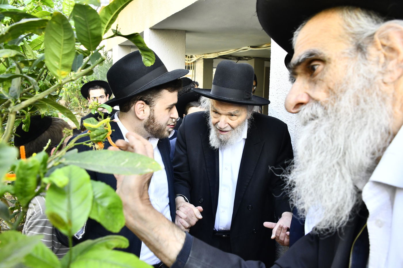 הגרמ"ה הירש בברכת האילנות