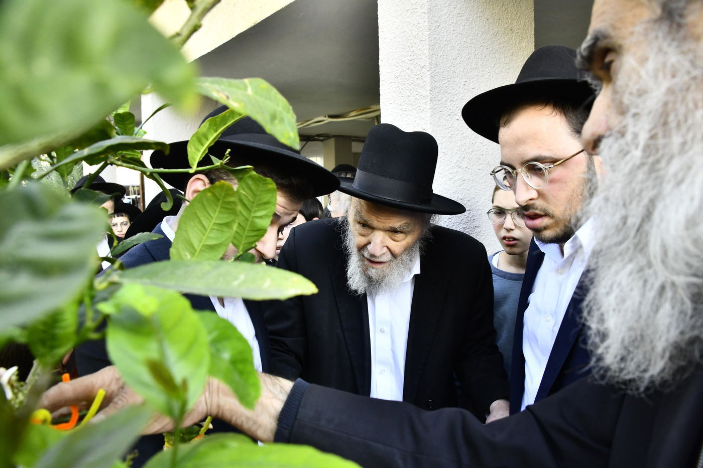 הגרמ"ה הירש בברכת האילנות