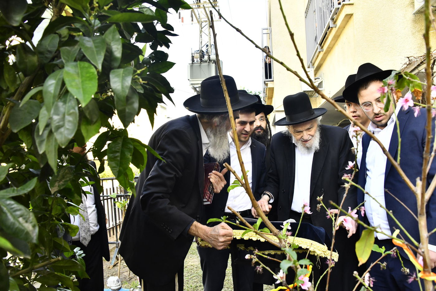 הגרמ"ה הירש בברכת האילנות