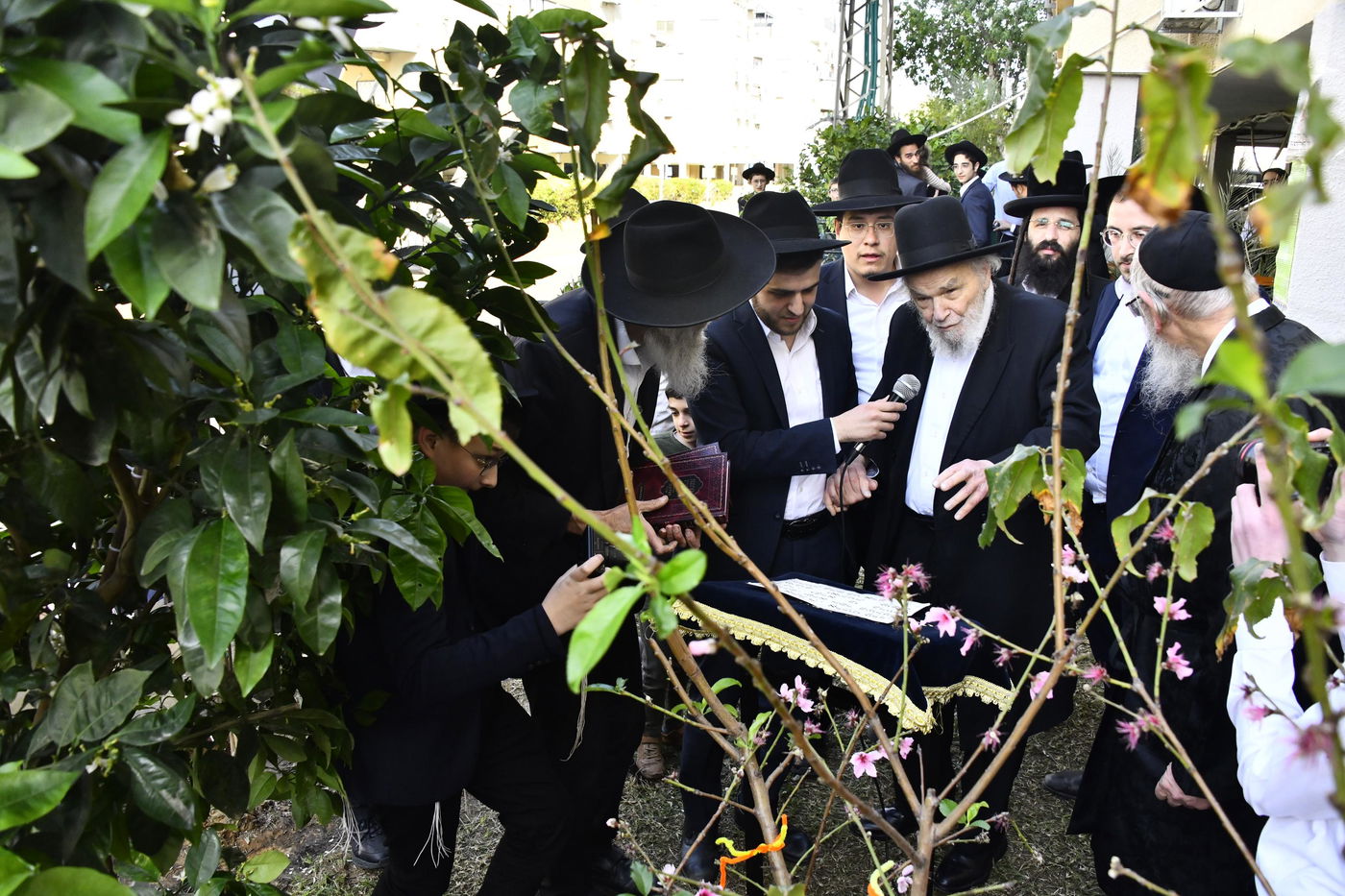 הגרמ"ה הירש בברכת האילנות