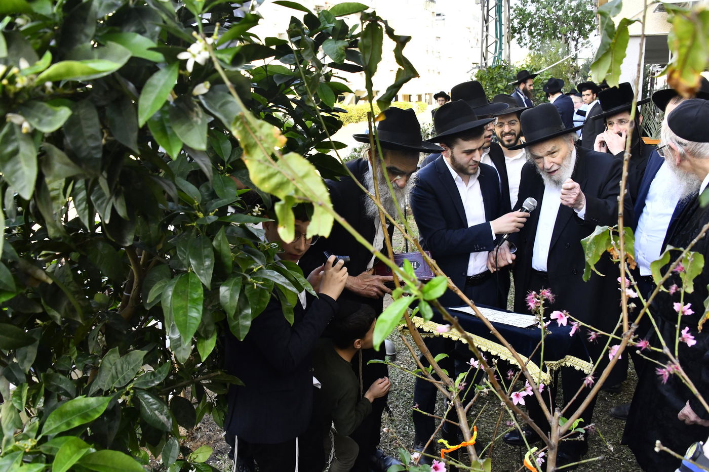 הגרמ"ה הירש בברכת האילנות