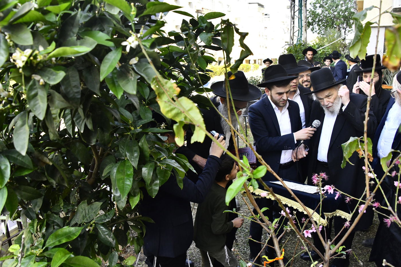 הגרמ"ה הירש בברכת האילנות