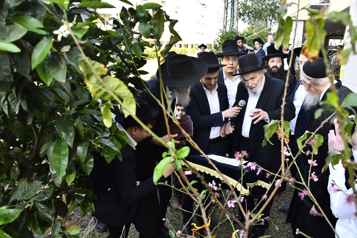 הגרמ"ה הירש בברכת האילנות