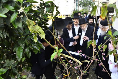 הגרמ"ה הירש בברכת האילנות