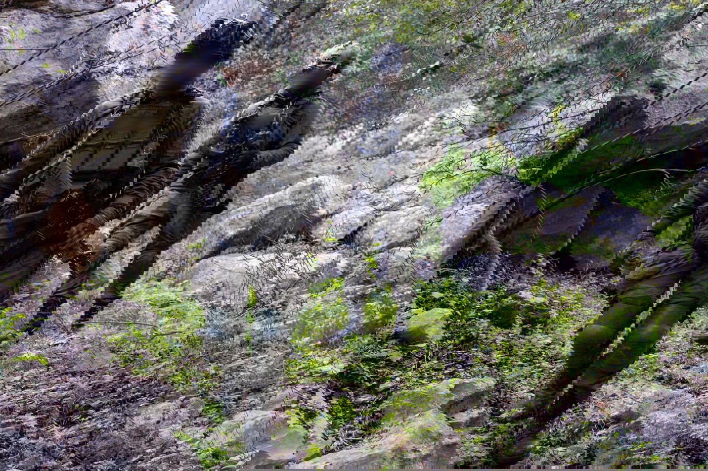 פעילות כוחות חטיבת 'ההרים' (810) בהר דב הלבנוני