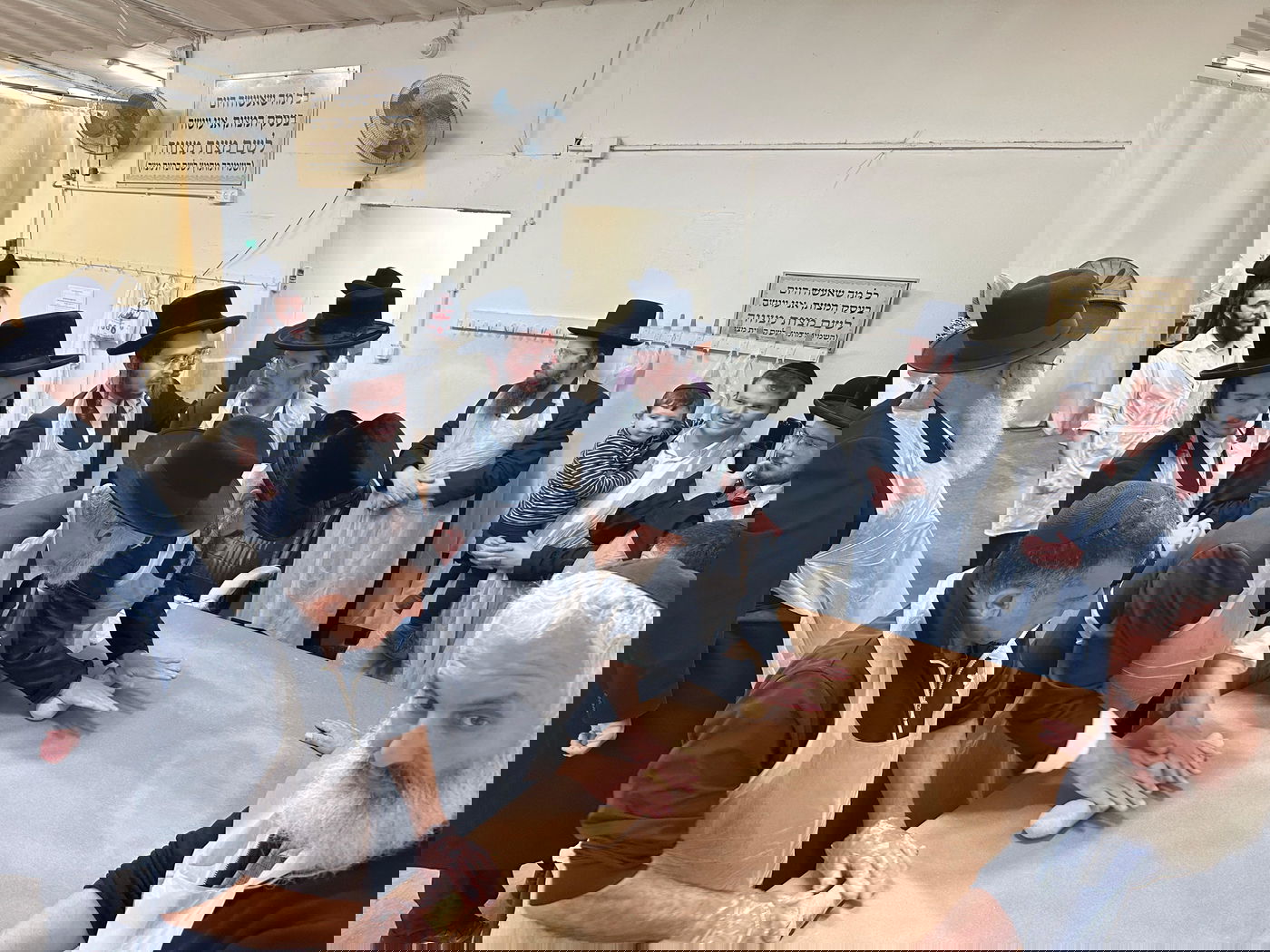 קהילת חיי נפש באפיית מצות