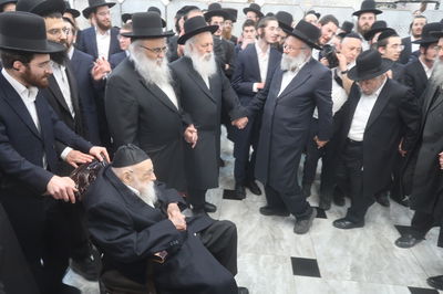 שמחת נישואי נין הגאון רבי מאיר גריינמן