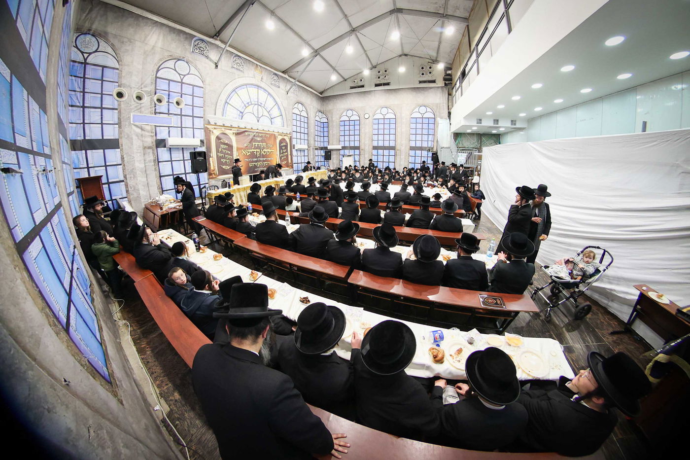 הילולא קדישא בווארדאן