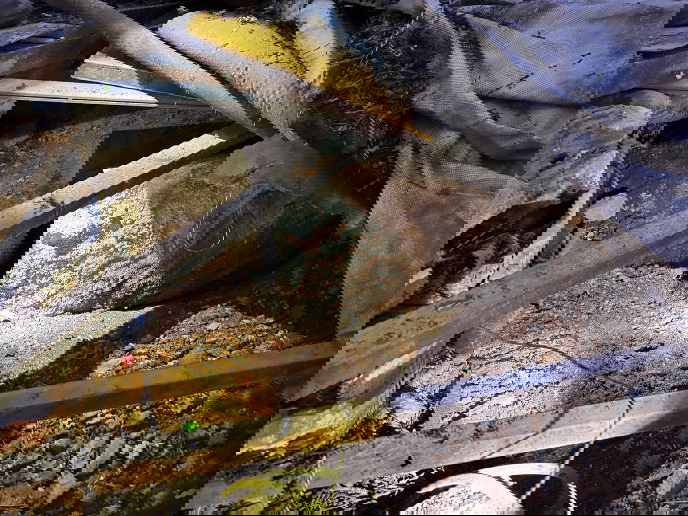 חוליית המחבלים נתפסה: נערכו לחטיפת יהודי, ערכו תצפיות על ביתו