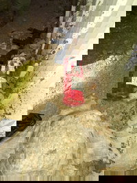 מטעני הנפץ שהוכנו על ידי המחבלים בדמוי מטף וסלע