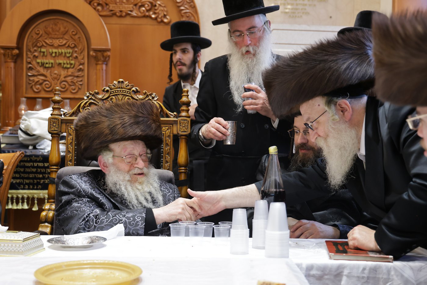 שמחת בית לעלוב - נדבורנה חיפה - סטריקוב