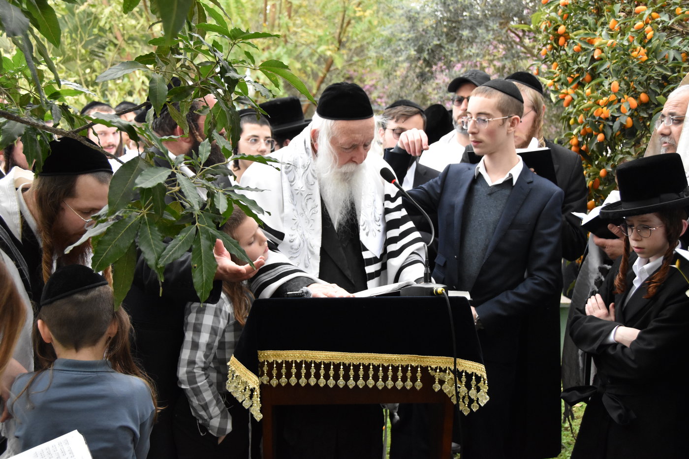 הגרי"ד גרוסמן בברכת האילנות