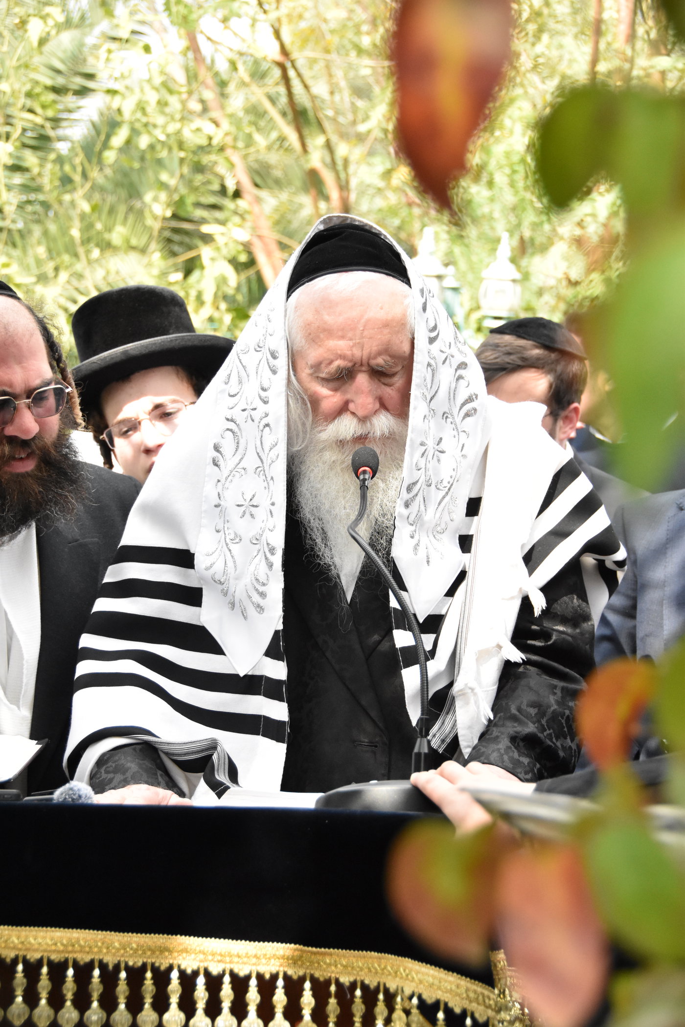 הגרי"ד גרוסמן בברכת האילנות
