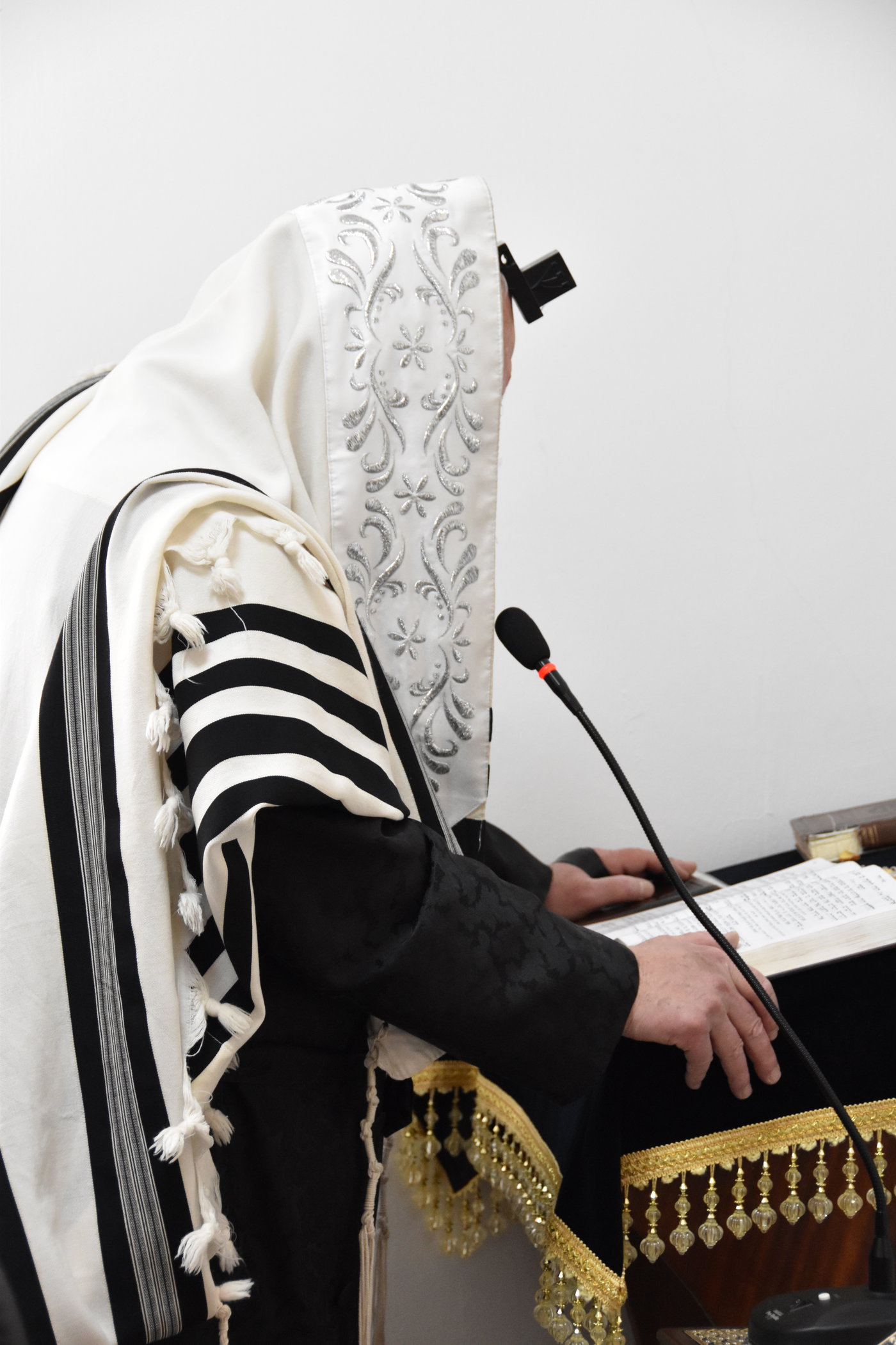 הגרי"ד גרוסמן בברכת האילנות