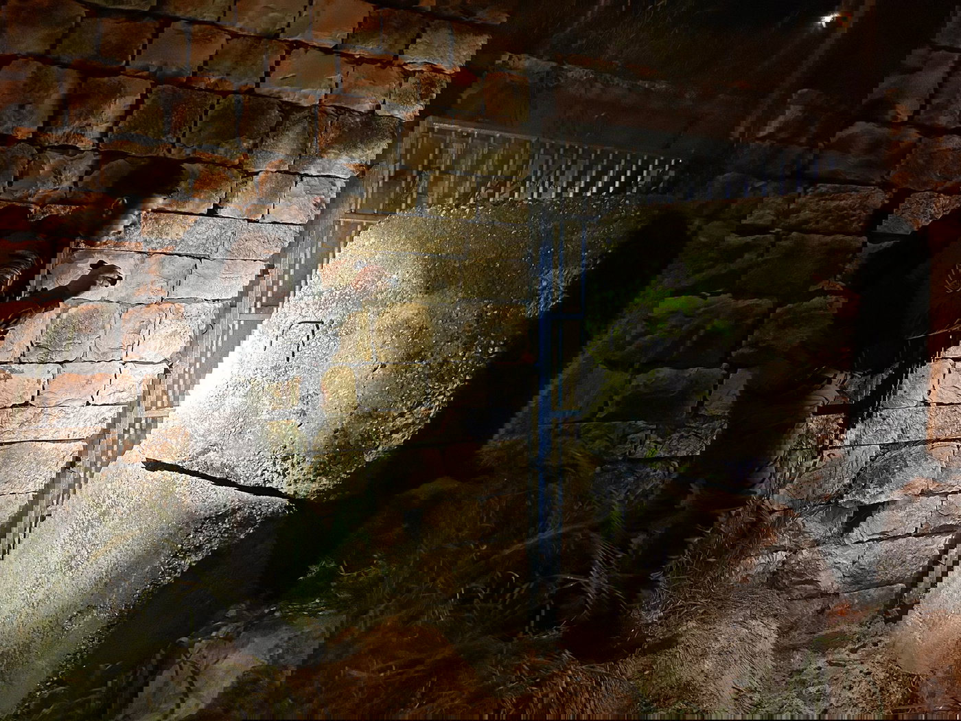 השב"חים לאחר שנתפסו