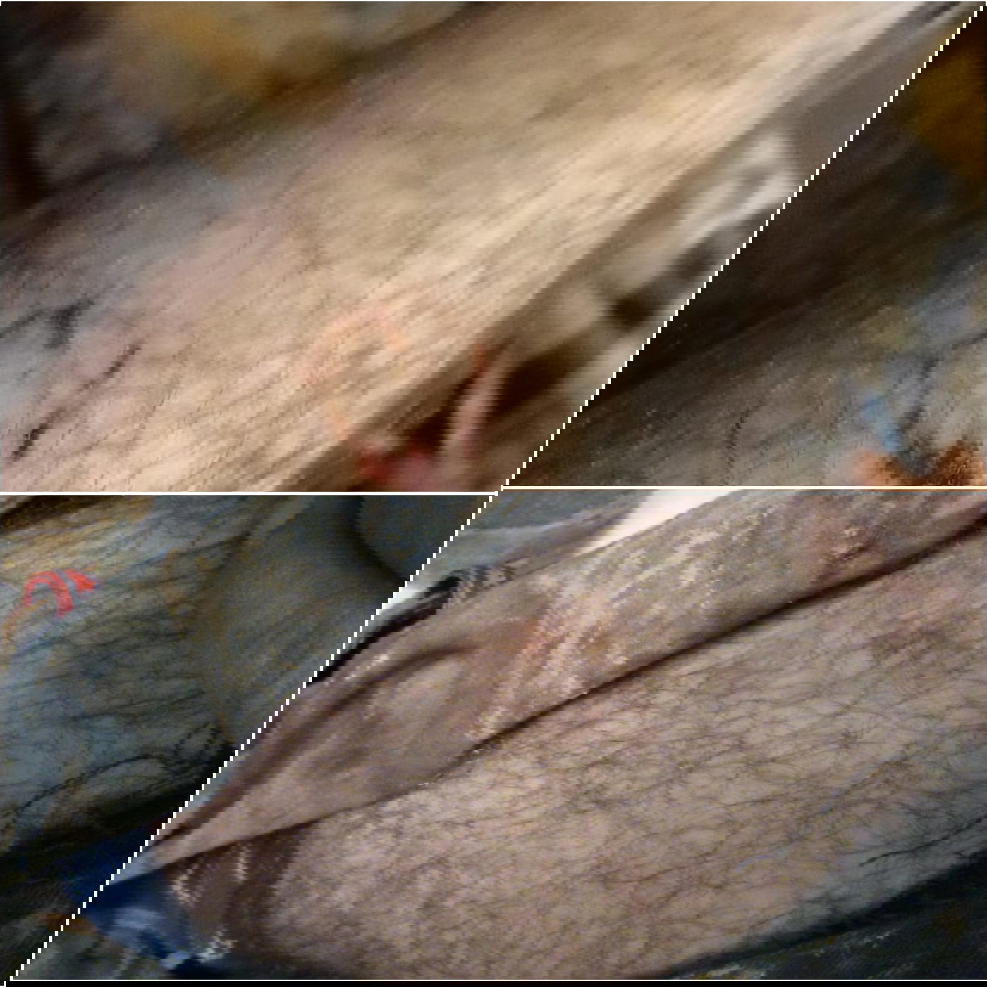 המשטרה עצרה מתיישב שניצל מלינץ': "גב לפורעים הערבים"