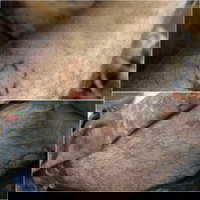 המשטרה עצרה מתיישב שניצל מלינץ': "גב לפורעים הערבים"