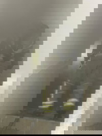 לפנות בוקר: שבעה נפגעו קל משאיפת עשן בשרפה בבניין מגורים בחיפה