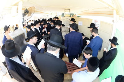 קבר הרב שך זצ"ל