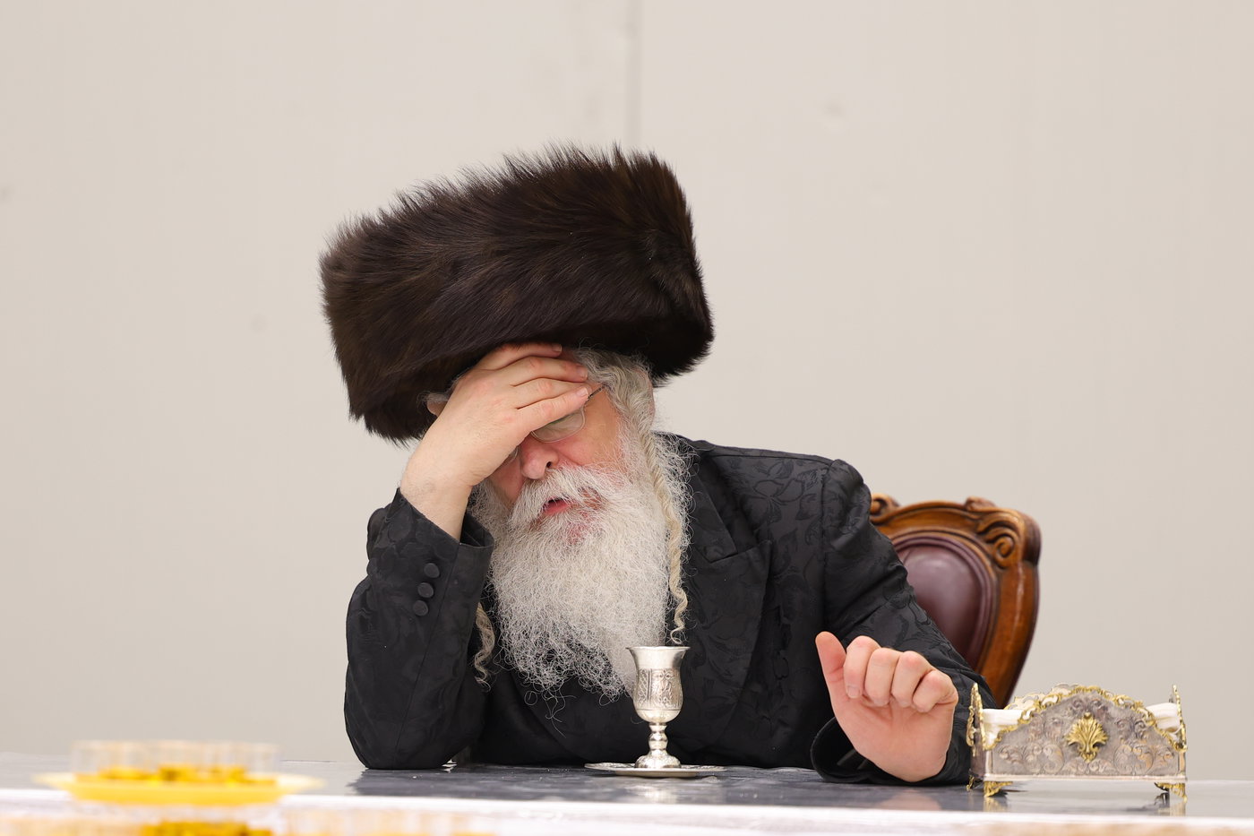 האדמו"ר מנדבורנה ירושלים בברכת האילנות