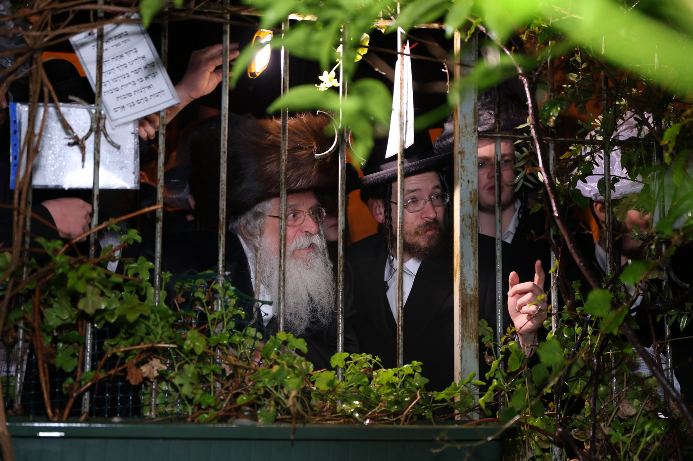 האדמו"ר מנדבורנה ירושלים בברכת האילנות