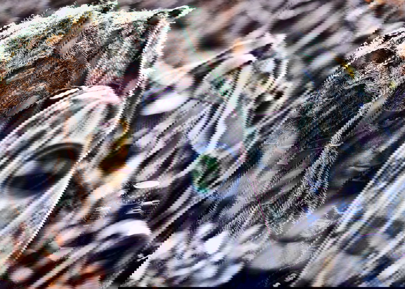 הכוחות המיוחדים של טורקיה 