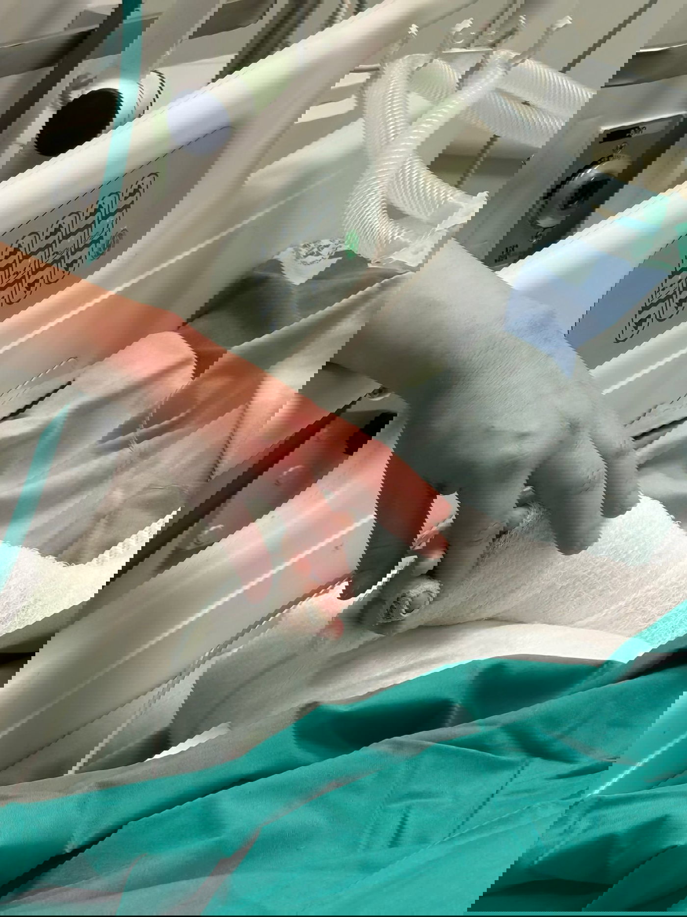 הילד בבית החולים