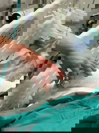 הילד בבית החולים