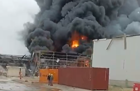 הפגיעה בנאות חובב